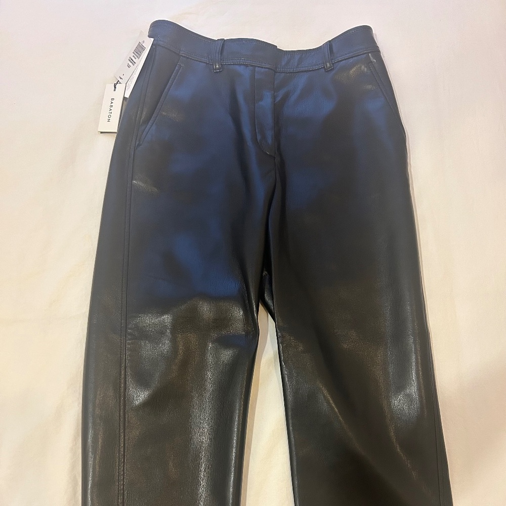 Aritizia Command Cropped Leather Pants